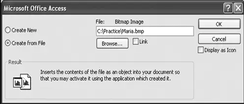insertar imágenes en Access usando campos de objetos OLE 1